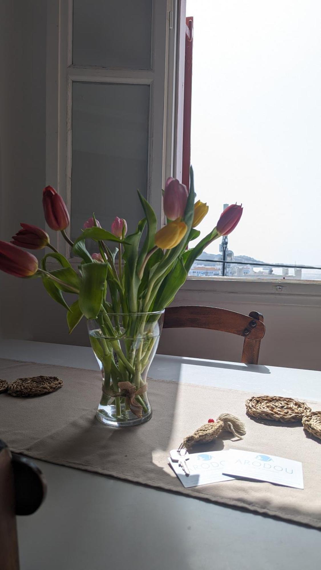 Arodou Studio And Apartment Mykonos Town エクステリア 写真