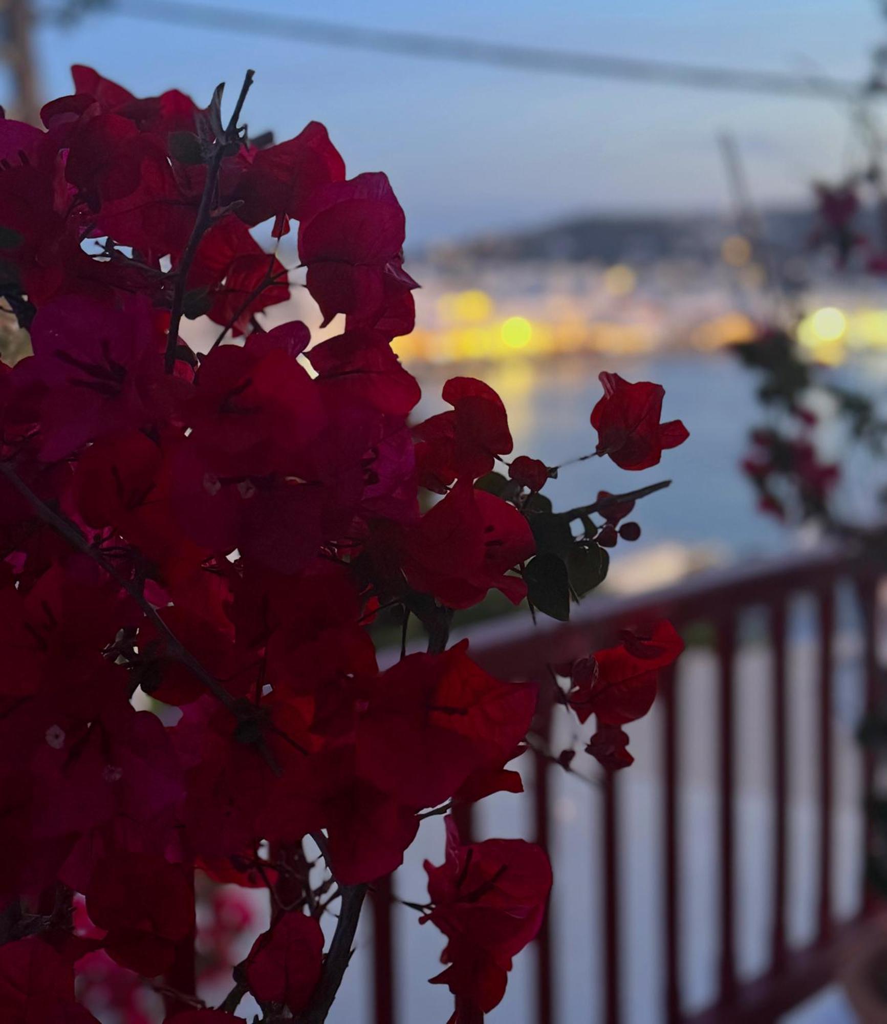 Arodou Studio And Apartment Mykonos Town エクステリア 写真