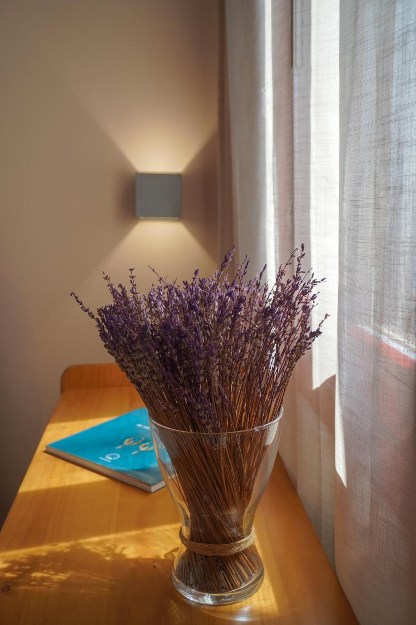 Arodou Studio And Apartment Mykonos Town エクステリア 写真